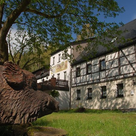 Waldgasthof & Hotel Am Sauwald Tannenberg Екстер'єр фото