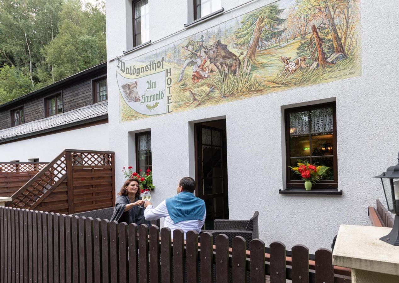 Waldgasthof & Hotel Am Sauwald Tannenberg Екстер'єр фото