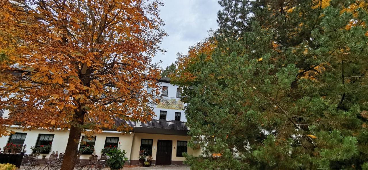 Waldgasthof & Hotel Am Sauwald Tannenberg Екстер'єр фото