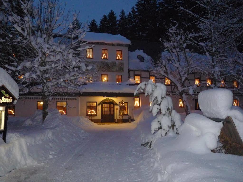 Waldgasthof & Hotel Am Sauwald Tannenberg Екстер'єр фото