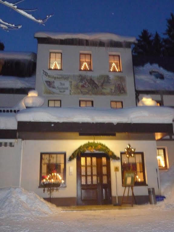 Waldgasthof & Hotel Am Sauwald Tannenberg Екстер'єр фото