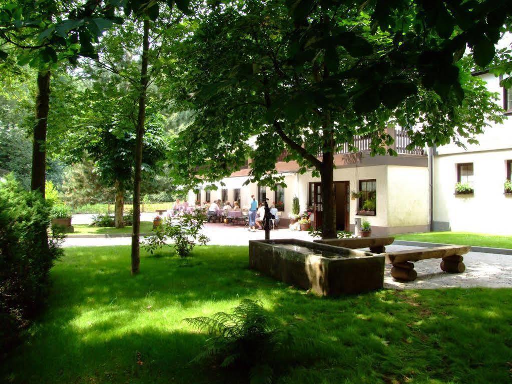 Waldgasthof & Hotel Am Sauwald Tannenberg Екстер'єр фото